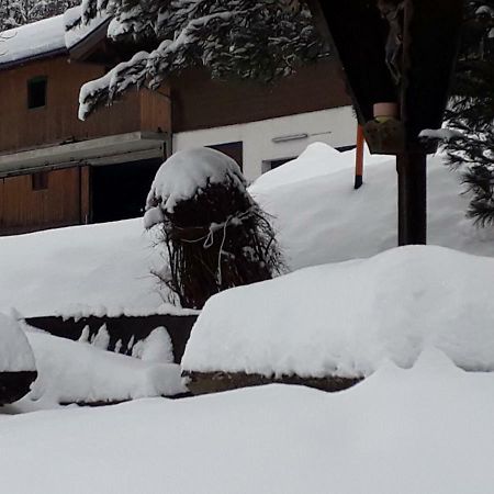 Appartement Wildkogelblick Neukirchen am Großvenediger Esterno foto