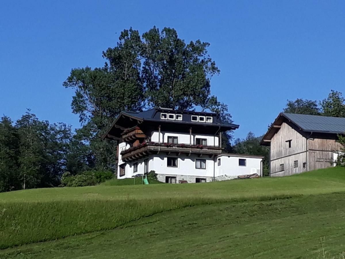 Appartement Wildkogelblick Neukirchen am Großvenediger Esterno foto